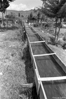 19800208B37