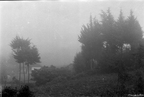 SinfechaA02