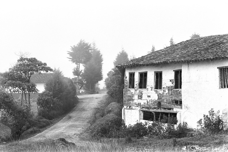 00219790700B17.jpg